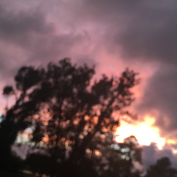 Meet your Posher, Alyssa - Picture 1 of 1